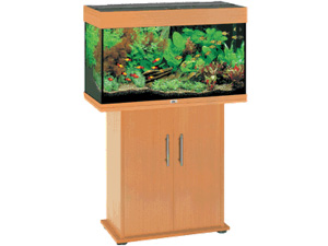 62-300-225-0-0-300-225