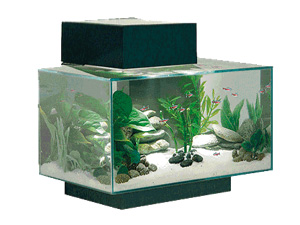 71-300-225-0-0-300-225