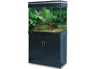 80-300-225-0-0-300-225