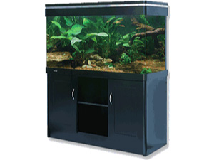 82-300-225-0-0-300-225